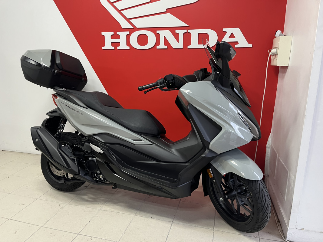 HONDA Hornet 600 CB ACTION MOTO  HAUCONCOURT 